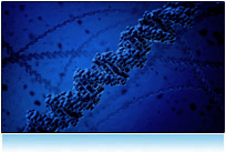 Computer Generated model of DNA - DNA visualisation