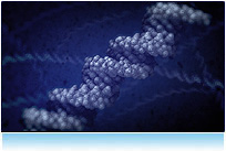 DNA visualization, deoxyribonucleic acid, - (biochemistry) a long linear polymer found in the nucleus of a cell and formed from nucleotides and shaped like a double helix; associated with the transmission of genetic information; DNA is the king of molecules